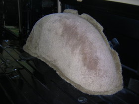 c509.JPG