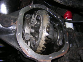 c984.JPG