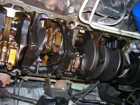 c1131.JPG