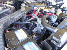 DSCN0228.JPG